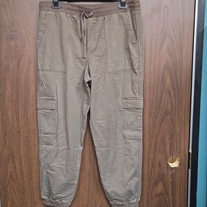 Splendid Size XL Faded Brown/Grey High Waisted Cargo Pants